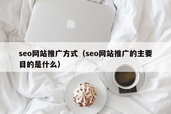 seo网站推广方式（seo网站推广的主要目的是什么）