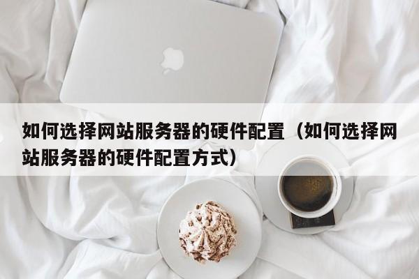 如何选择网站服务器的硬件配置（如何选择网站服务器的硬件配置方式）