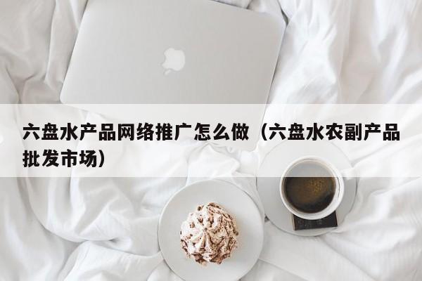 六盘水产品网络推广怎么做（六盘水农副产品批发市场）