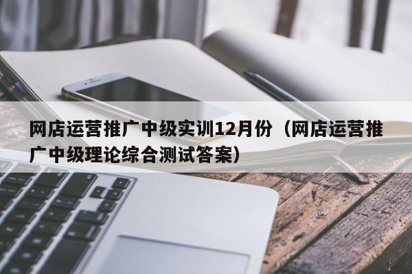 网店运营推广中级实训12月份（网店运营推广中级理论综合测试答案）