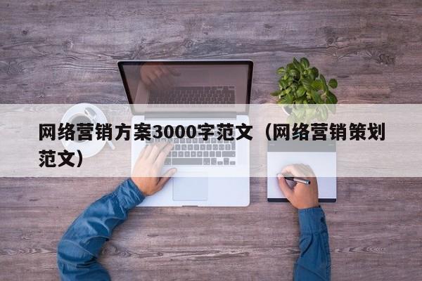 网络营销方案3000字范文（网络营销策划范文）