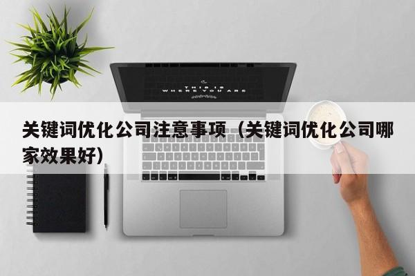 关键词优化公司注意事项（关键词优化公司哪家效果好）