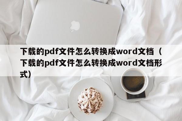 下载的pdf文件怎么转换成word文档（下载的pdf文件怎么转换成word文档形式）