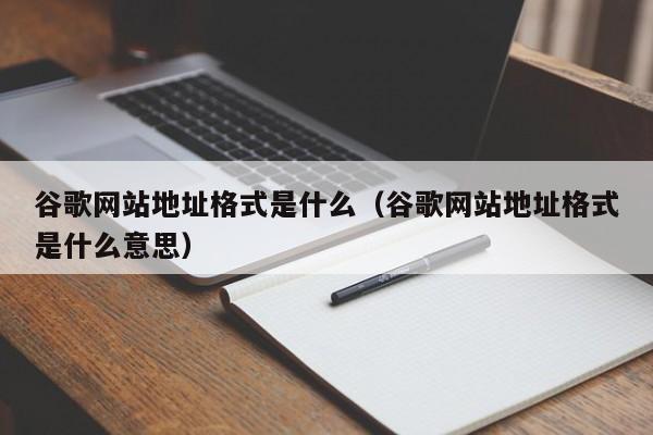 谷歌网站地址格式是什么（谷歌网站地址格式是什么意思）