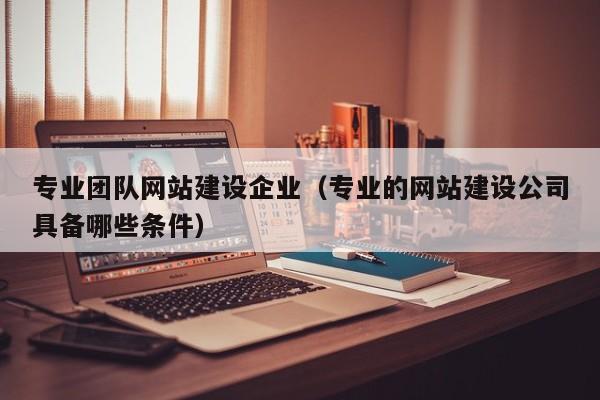 专业团队网站建设企业（专业的网站建设公司具备哪些条件）